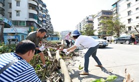 市总工会到霞山工农路清理台风痕迹