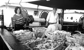 【劳模风采②】谢玉兰：巾帼不让须眉的“女汉子”