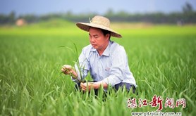 【劳模风采⑦】李瑞民：在希望的田野上播撒科技种子