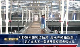【劳模风采】对虾家系研究结硕果 海水养殖拓新路