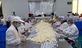 湛江市、遂溪县两级工会慰问医疗设备生产企业一线职工