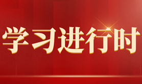 学习二十大报告，读懂这些词语的深意