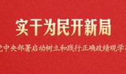 实干为民开新局——党中央部署启动树立和践行正确政绩观学习教育