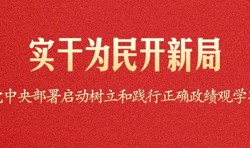 实干为民开新局——党中央部署启动树立和践行正确政绩观学习教育